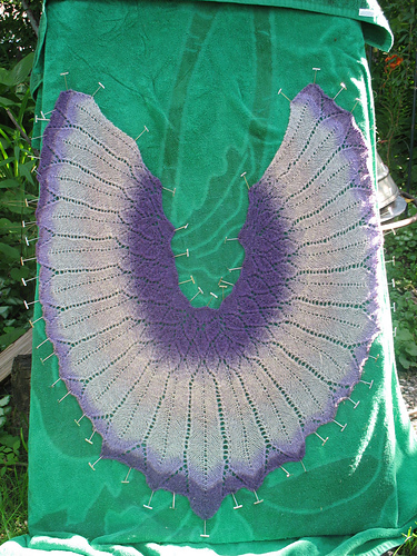 Anna Baltzer Wings of Peace photo 2