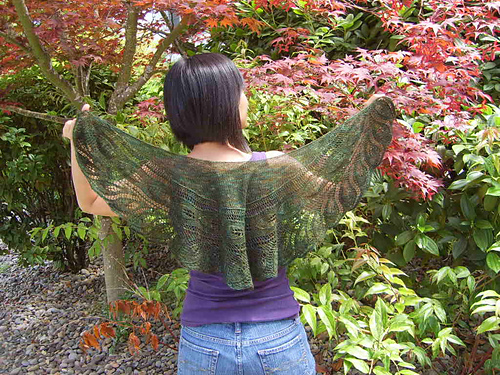 Acanthus Shawlette
