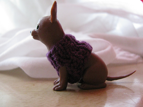 Chihuahua Sweater for Blythe's Pet photo 2