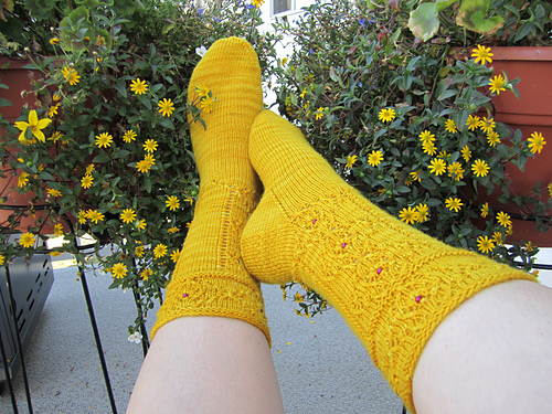 Hathor Socks