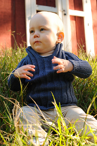 Barn Door Pullover