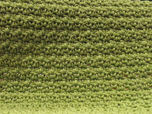 Bumpy Not Lumpy Dishcloth photo 2