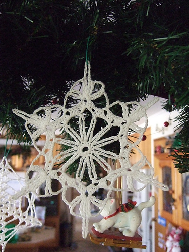 Snowflake # 2 (ASN 1025)