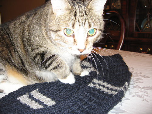 Easy Baby Cable and Seed Stitch Scarf