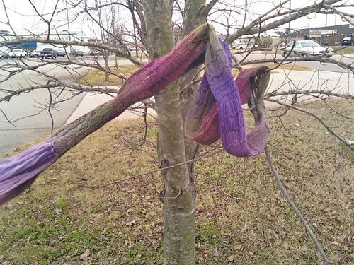 Sock Yarn Scarf