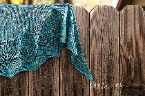 Citizen Shawl