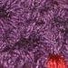 Lauren's Scarf and Hat photo 4