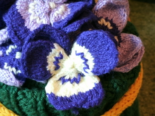 Pansies photo 1