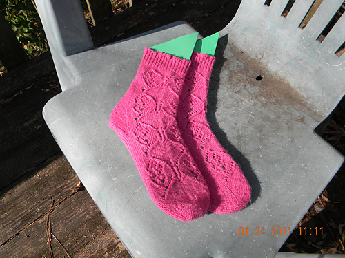 Butterfly Socks