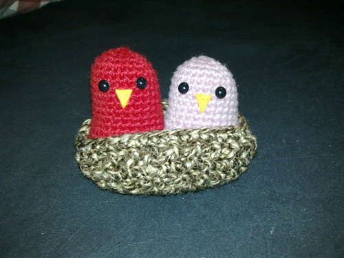 Nesting love birds