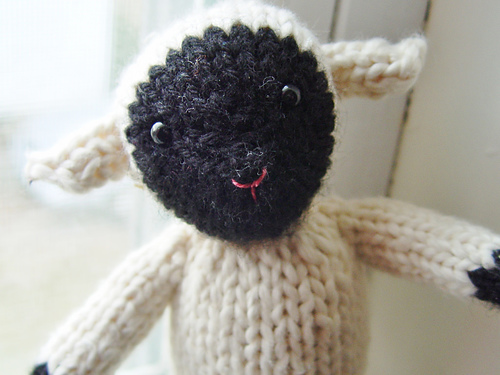 Tahlia the Sheep
