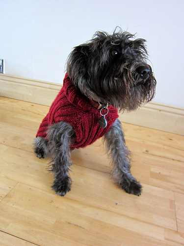 Charlie's Ribbed Sweater