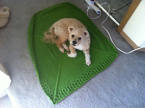 Honey Edge Baby Blanket photo 3
