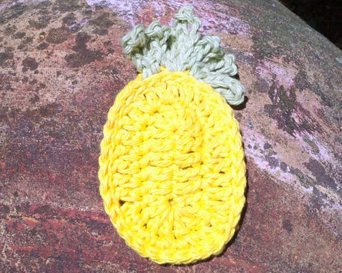 Pineapple Coaster and Hot Pad