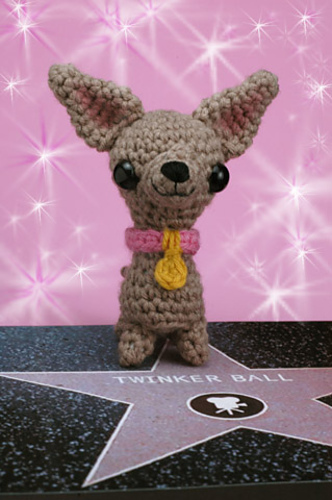 Twinkerball the Celebrity Pup
