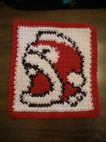 Boss Bass Dish Cloth