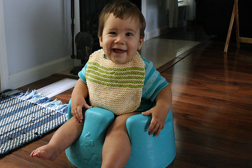 My Perfect Bib