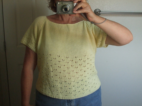 S477 Eyelet Patterned Top