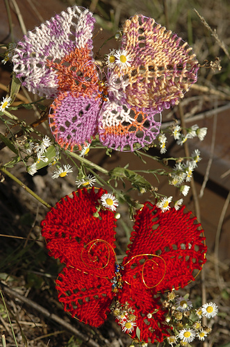 Pet Butterfly