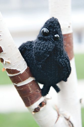 Grog the Raven