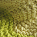 Chevron Baby Blanket photo 4