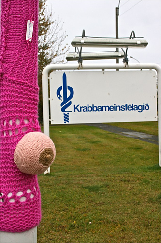 Pink Breast photo 4
