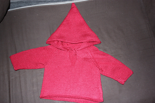 397 - Pull à capuche photo 1