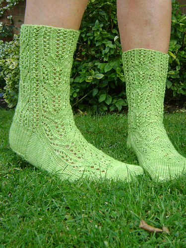 Cambium Socks