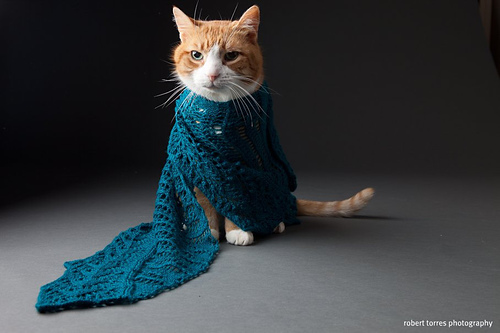 Nebulous One Skein Shawl