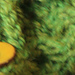 Lyydian Lämmittimet photo 4