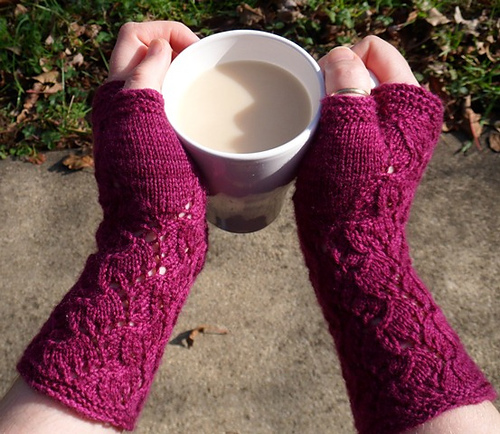 Carpe Diem, Fingerless Mitts photo 1