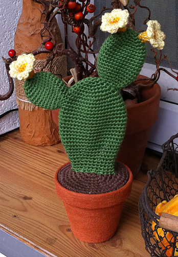 Opuntia cactus