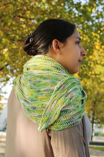 Bouillon d'Ecume