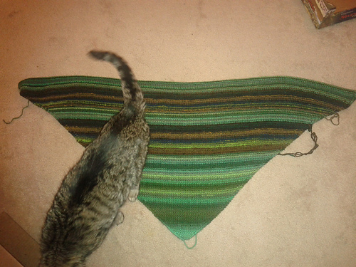 Half A Washcloth Shawl