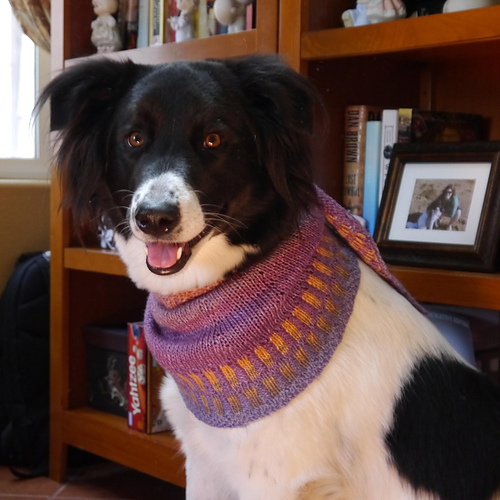 Ravelry: LightSpeed pattern by Susan Ashcroft