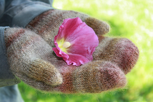 Handspun Top Down Mittens
