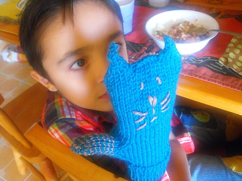 Nico's Cat Mittens