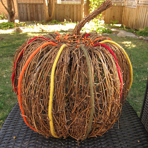 I-cord & Grapevine Pumpkin