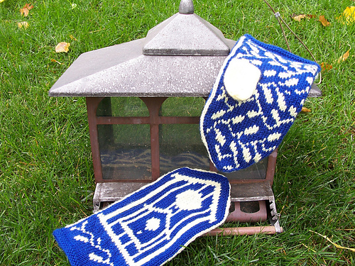 Birdhouse and Vines