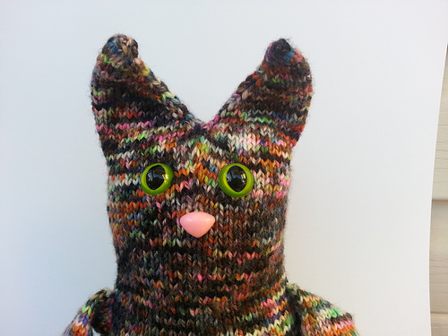 Confetti the Zombie Cat