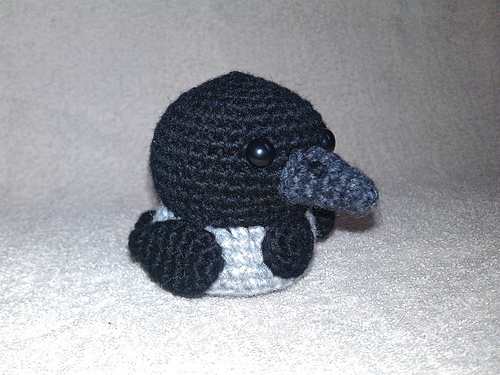 Cute Little Crow