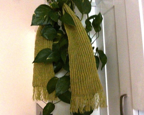 Child's Scarf