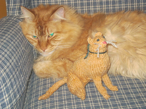Maine Coon
