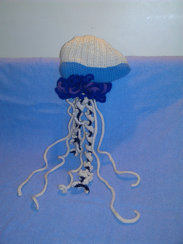 Portuguese Man-of-war (jellyfish)