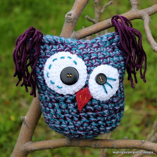 Calypso the Kooky Owl