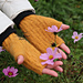 Autumn Time Fingerless Mittens pattern 