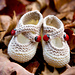 Saartje's Bootees photo 4