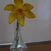 Narcis pattern 