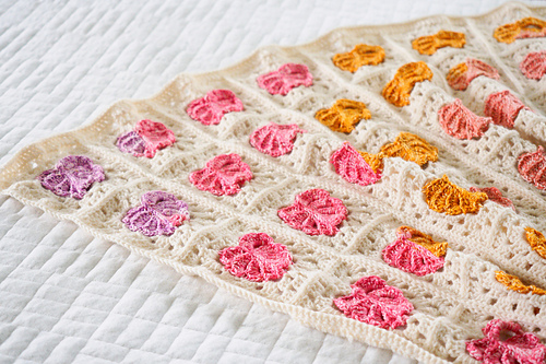 Monstera hagepledd - ChiWei Ranck