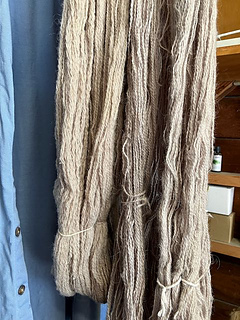 purpleleaf plum dyed tunis and shetland